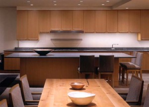 Millennium Tower Condominium, Modern Kitchen Design