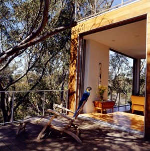 Tree House Design, Luxury Wooden House Design, Wooden House Design