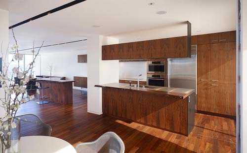 Kitchen-Ludwig Apartment by Craig Steely Architecture